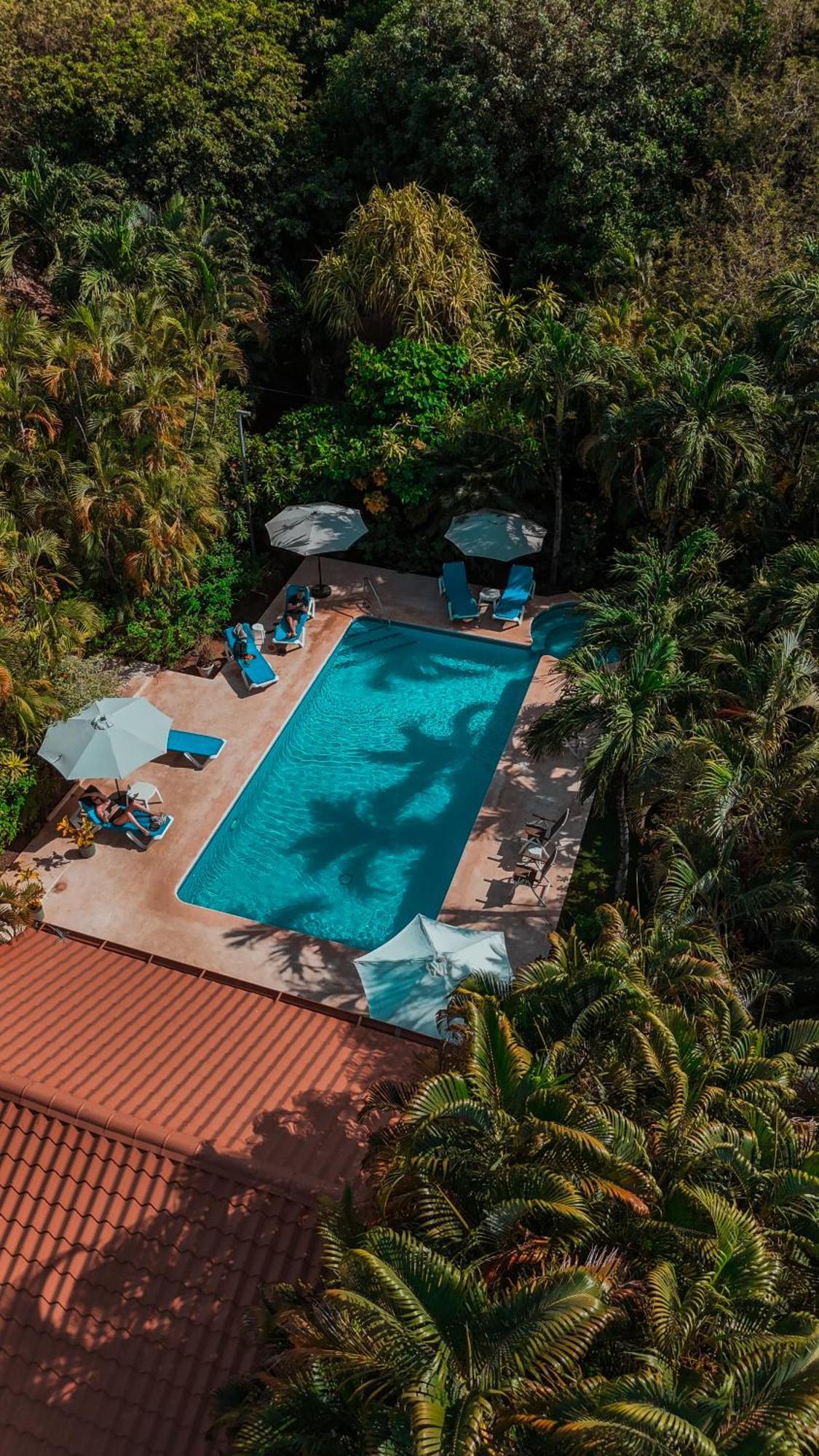 Hotel Villa Del Sol Coco Kültér fotó