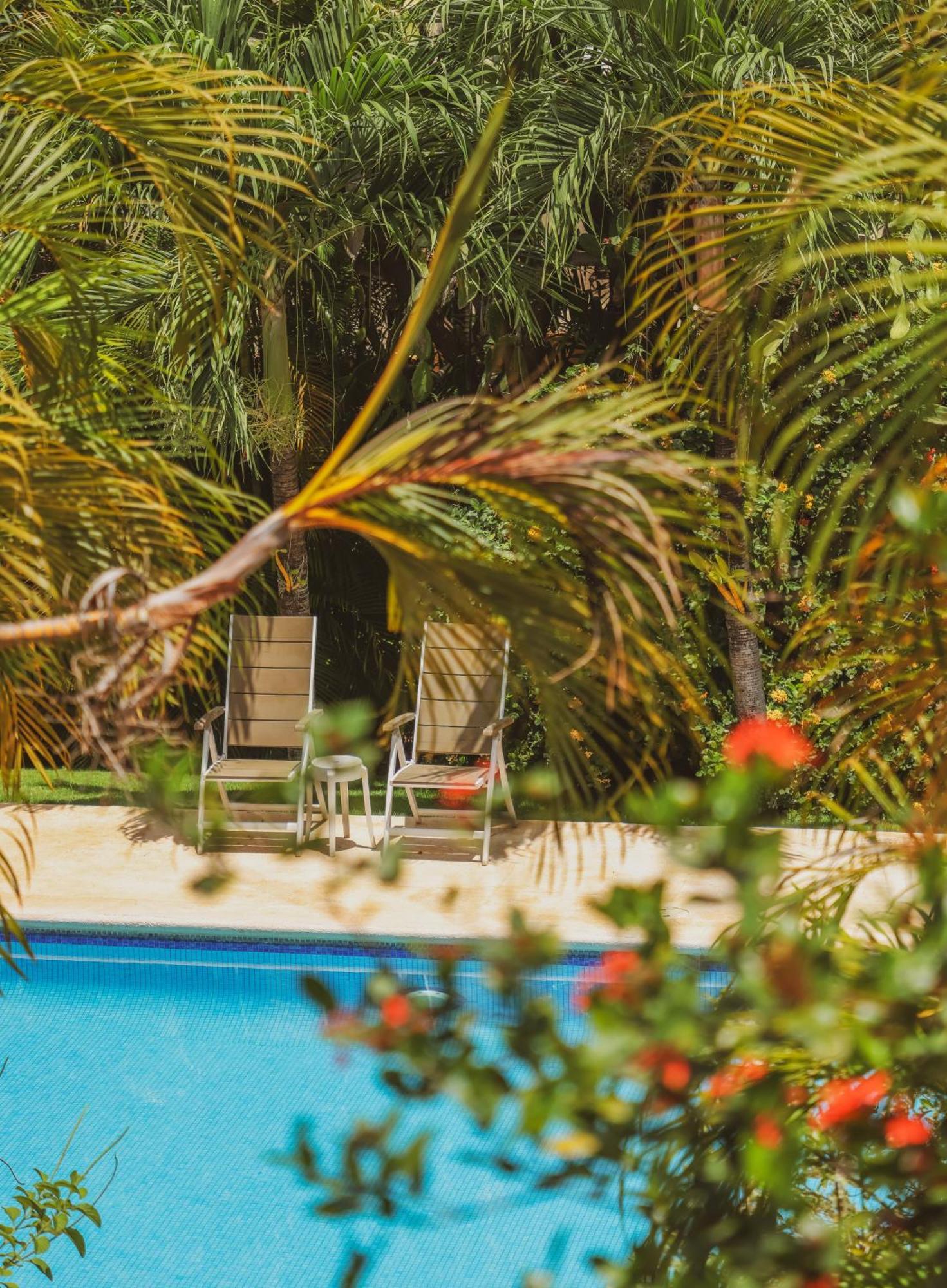 Hotel Villa Del Sol Coco Kültér fotó